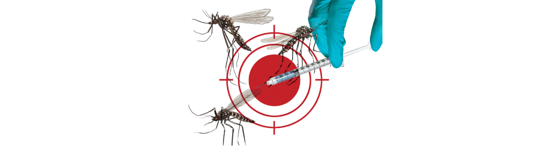 Tratamento de eliminação da Dengue  24 HORAS